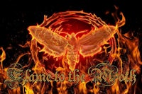 an image of a moth in flames with the words enlighten the moth